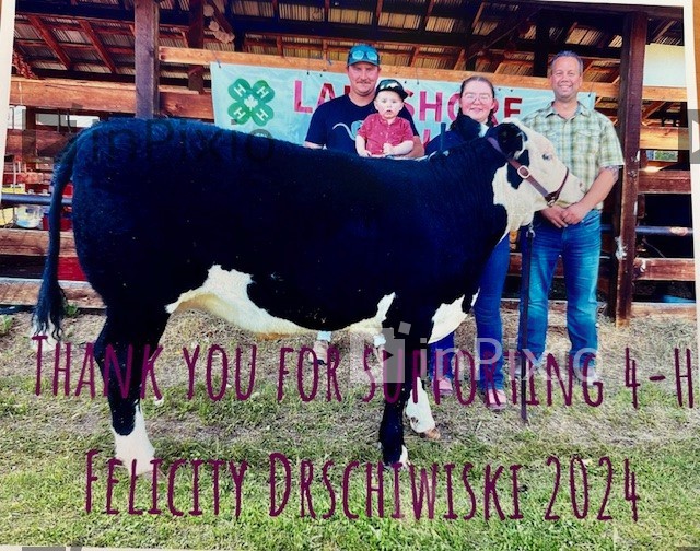 2024 4-H Steer